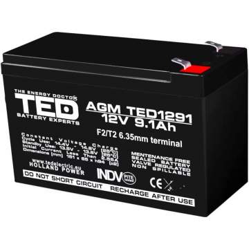 Acumulator stationar 12V 9,1Ah F2