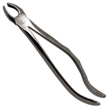 Cleste extractie Molar superior dreapta, fig. 17 (1 bucata)