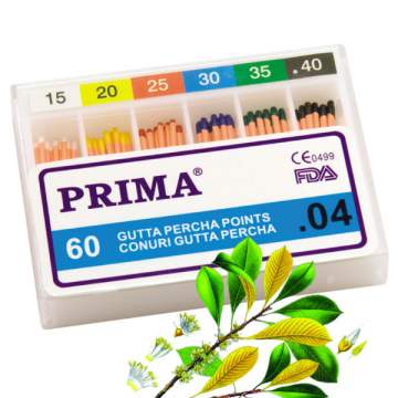 Conuri mari .4 Gutta Percha asortate 15-40 (60 buc)