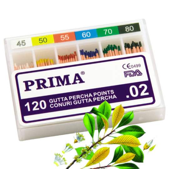 Conuri Gutta Percha asortate 45-80 (120 buc)