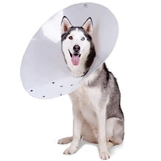 Gulere protectie animale de companie, XS - L: 10cm,, D: 16.5-19.5cm, gat/guler 7-9cm, transparent, reglabil (10 bucati)