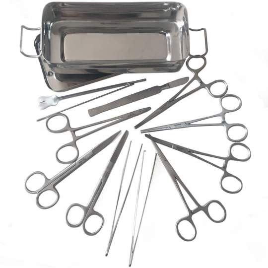 Trusa instrumentar mica chirurgie 13 piese 2RI (1 bucata) 