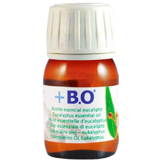 Ulei Esential Eucalipt - decongestiv, expectorant (30ml)